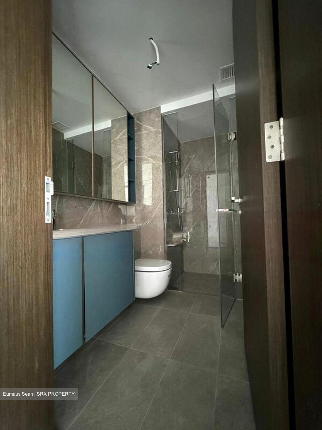 Clavon (D5), Apartment #434527301